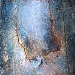 <strong>LIGHT IN LIGHT, #36</strong><br>egg tempera, 2003